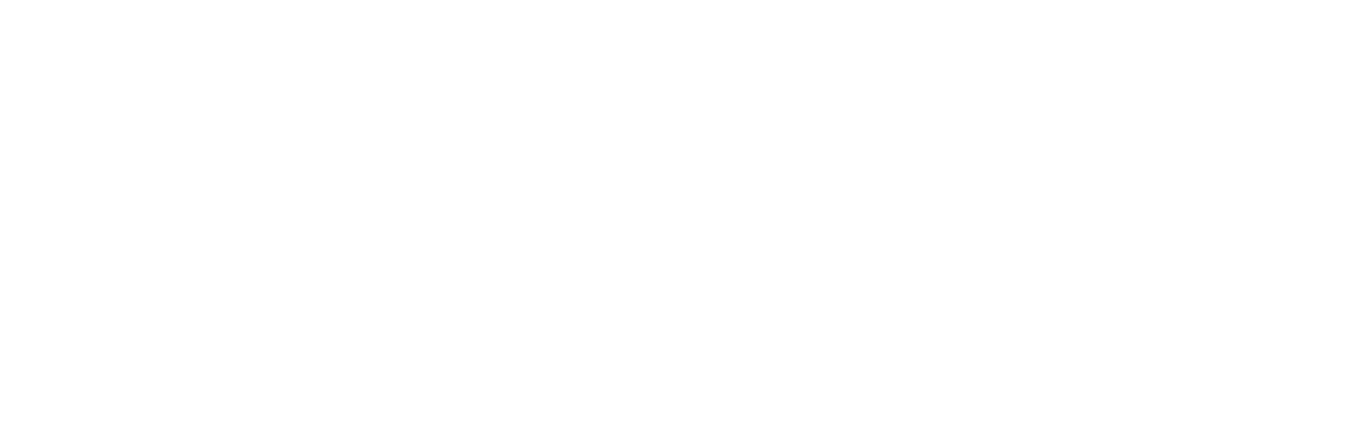 fleet-logo-white